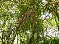 Цюрупинськ з panoramio.com (ч.2)