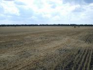 Степ з panoramio.com