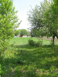 Яцьки з panoramio.com