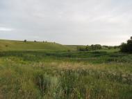 Яцьки з panoramio.com