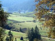 Вишків - Останні фото