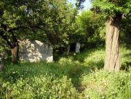 Кремінець з panoramio.com