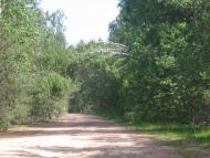 Рокитне з panoramio.com