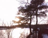 Заболотове з panoramio.com