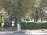 Мала Тур'я з panoramio.com