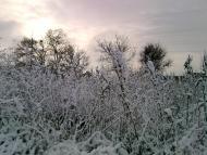 Роздольне з panoramio.com