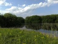 Новоугрузьке з panoramio.com