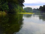 Серебрянка - Останні фото