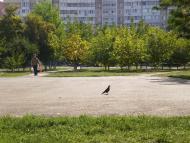 Крижанівка з panoramio.com