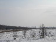 Лисняки з panoramio.com