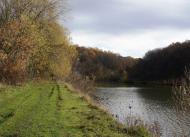 Піщатинці - Останні фото