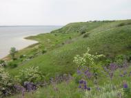 Кошари з panoramio.com