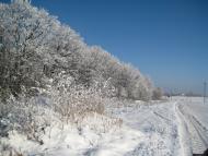 Бабаї з panoramio.com