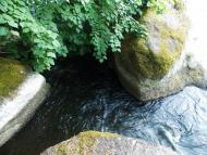 Дмитренки - Останні фото