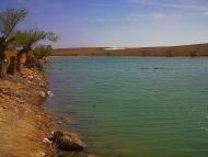 Кочергіне з panoramio.com