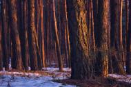 Старий Салтів з panoramio.com