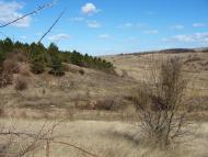 Домниця з panoramio.com