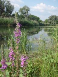 Новоайдар - Останні фото