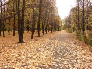 Добропілля з panoramio.com