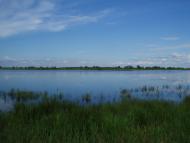 Василівка з panoramio.com