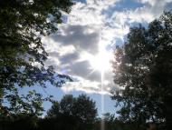 Кияшки з panoramio.com