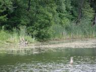 Люботин з panoramio.com (ч.2)