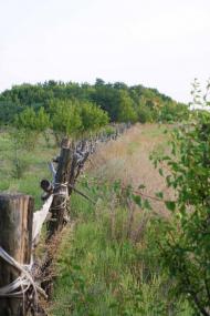 Ключове з panoramio.com