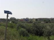 Стара Некрасівка - Останні фото