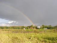 Борсуків - Останні фото