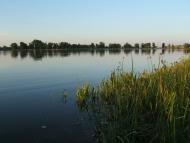 Острожани - Останні фото