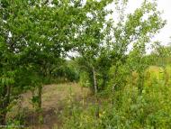 Токмак з panoramio.com