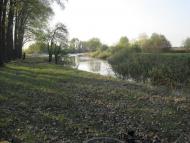 Ковяги - Последние фото