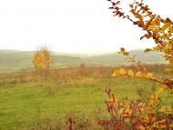 Kuryany - Latest photos