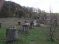 Мартинівка з panoramio.com