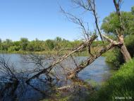 Одринка з panoramio.com