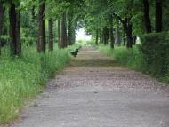 Чорнобиль з panoramio.com (ч.2)