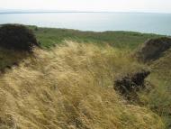 Орлівка з panoramio.com