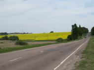 Дігтів - Останні фото