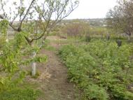 Парутине з panoramio.com