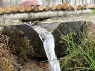 Сильне - Останні фото