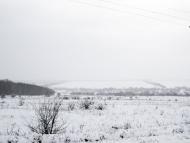 Popasna - Latest photos