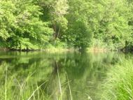 Олександроград - Останні фото