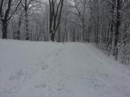 Карпати з panoramio.com