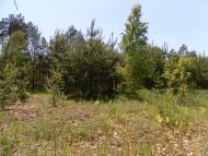 Ревунів Круг з panoramio.com