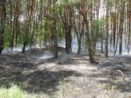 Могилів з panoramio.com