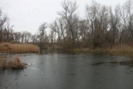 Кіровське з panoramio.com (ч.3)