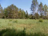 Ревунів Круг з panoramio.com