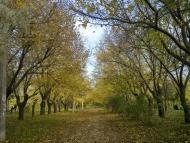 Корсунці з panoramio.com