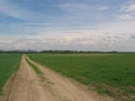 Новоселівка з panoramio.com