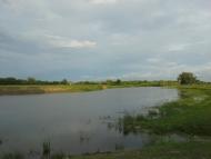 Stepan - Latest photos